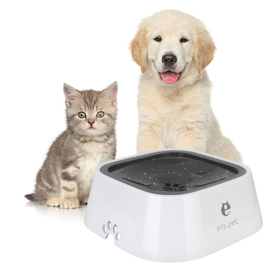 Dog Water Bowl in black with a dog in the bacground and a cat friend 